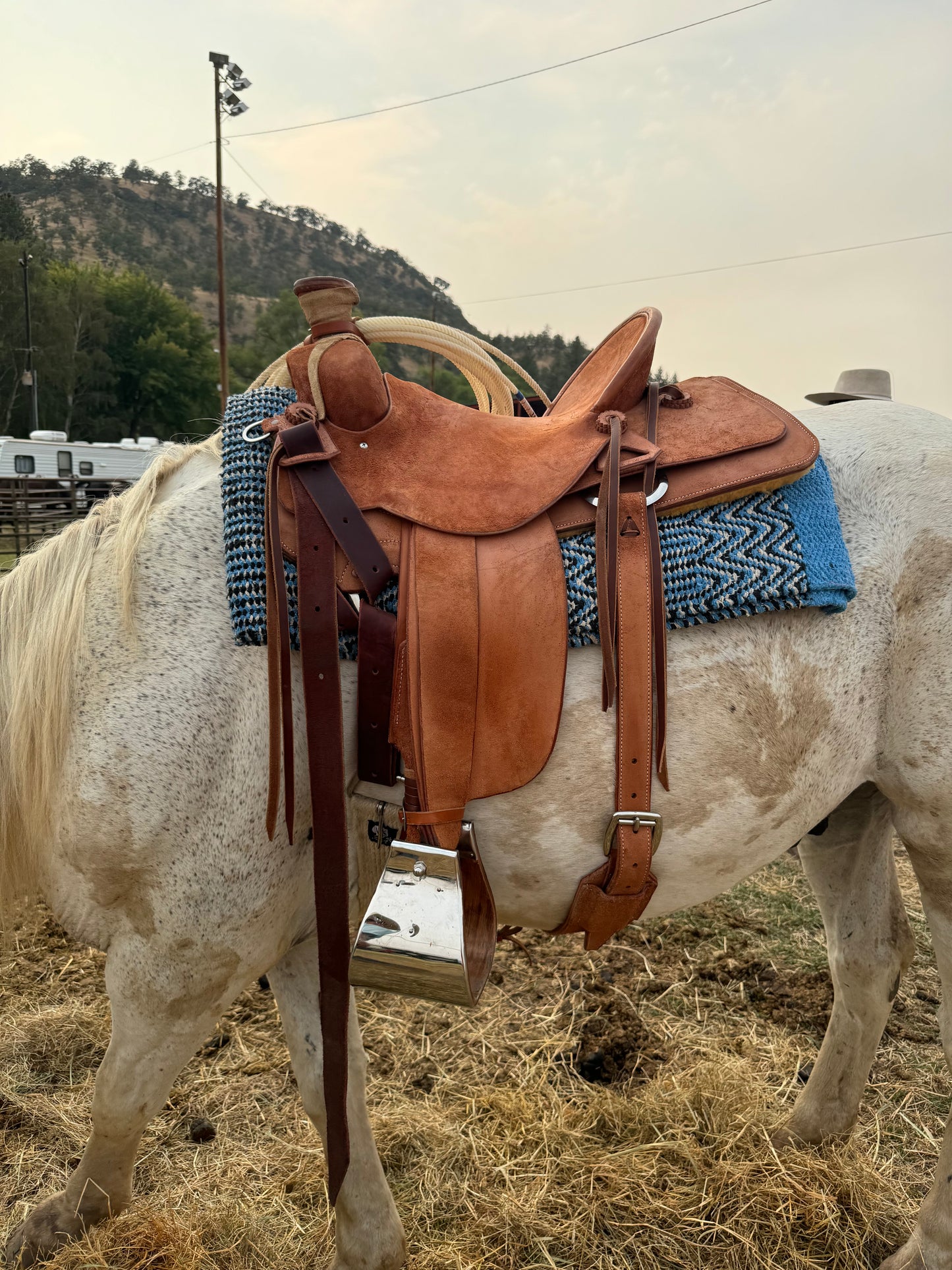 Spec Build Saddle